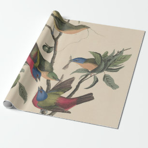 Vintage-Audubon-Buntingschmetterling-farbige Vogel Geschenkpapier