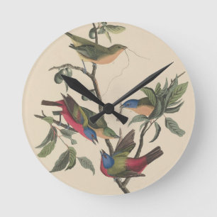 Vintage-Audubon-Buntingschmetterling-farbige Vogel Runde Wanduhr