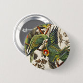 Vintage Audubon Carolina-Sittich-Vogelkunst Button (Vorne & Hinten)