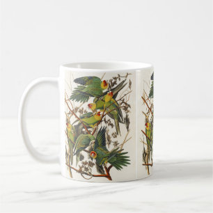 Vintage Audubon Carolina-Sittich-Vogelkunst Kaffeetasse