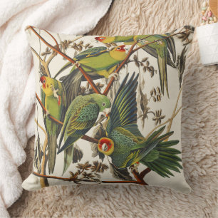 Vintage Audubon Carolina-Sittich-Vogelkunst Kissen