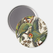 Vintage Audubon Carolina-Sittich-Vogelkunst Magnet (Vorderseite/Rückseite)