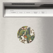 Vintage Audubon Carolina-Sittich-Vogelkunst Magnet (In Situ (Geschirrspüler))