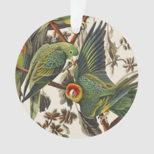 Vintage Audubon Carolina-Sittich-Vogelkunst Ornament