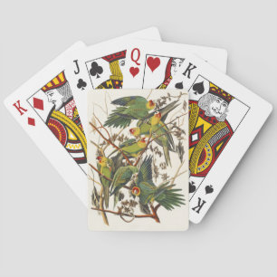 Vintage Audubon Carolina-Sittich-Vogelkunst Spielkarten
