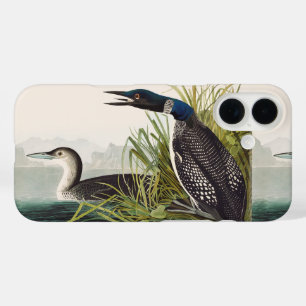 Vintage-Audubon-Eistaucher-Vogel-Naturkunst iPhone 16 Hülle