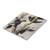 Vintage-Audubon-Elfenbeinspecht-Kunst Fliese (Seite)
