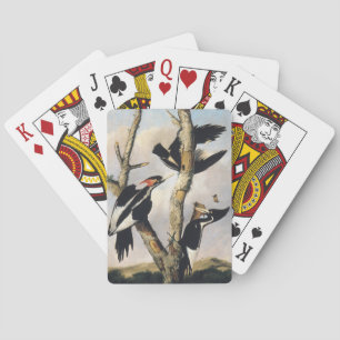 Vintage Audubon Elfenbeinspecht Kunst Spielkarten