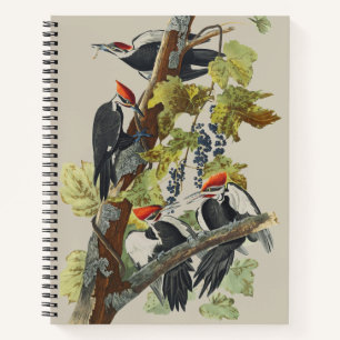Vintage Audubon Elsterhelsspecht-Vogelkunst Notizblock