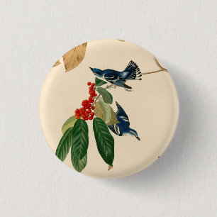 Vintage-Audubon-Gemälde des Blaurücken-Waldsängers Button
