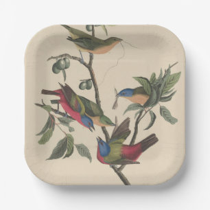 Vintage Audubon Gemalter Bunting Farbige Vogelkuns Pappteller