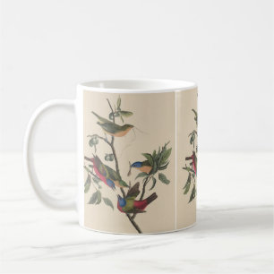 Vintage Audubon Gemalter Buntsperling Farbige Voge Kaffeetasse