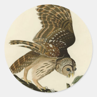 Vintage Audubon Geschenk zur Jagd auf gesperberte Runder Aufkleber