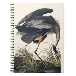 Vintage Audubon Graureiher Vogel Natur Kunst Notizblock