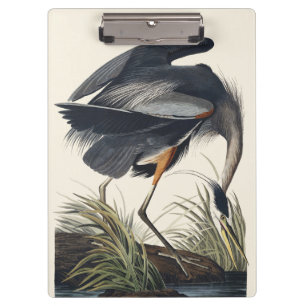 Vintage-Audubon-Großer-Blau-Reiher-Vogel-Natur-Kun Klemmbrett