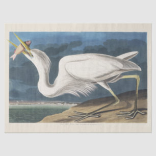 Vintage Audubon-Großer Silberreiher-Vogelkunst Seidenpapier