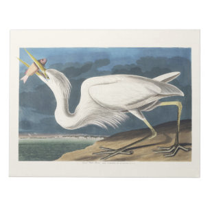 Vintage-Audubon-Großer-Weißer-Reiher-Vogel-Kunst Notizblock