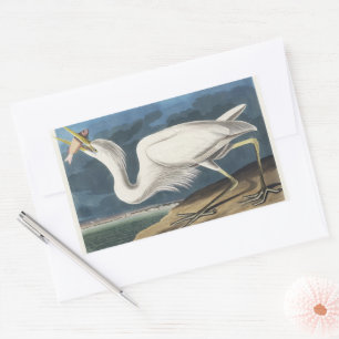 Vintage-Audubon-Großer-Weißer-Reiher-Vogel-Kunst Rechteckiger Aufkleber