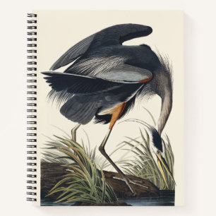 Vintage-Audubon-Großreiher-Vogel-Naturkunst Notizblock