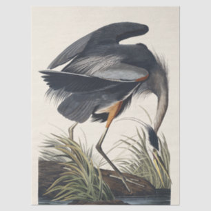 Vintage-Audubon-Großreiher-Vogel-Naturkunst Seidenpapier