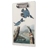 Vintage Audubon Gürtel-Eisvogel-Vogelkunst Klemmbrett (Links)