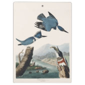 Vintage Audubon Gürtel-Eisvogel-Vogelkunst Klemmbrett (Rückseite)