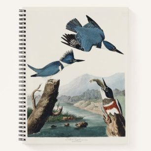 Vintage Audubon Gürtel-Eisvogel-Vogelkunst Notizblock