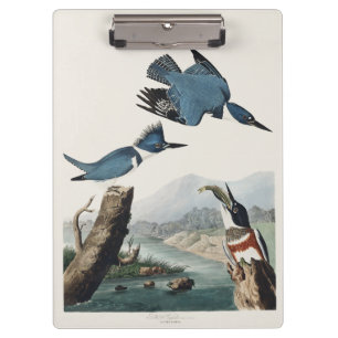 Vintage-Audubon-Gürtel-Kis पक्षी-Kunst Klemmbrett