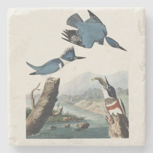 Vintage-Audubon-Gürtel-Kis पक्षी-Kunst Steinuntersetzer