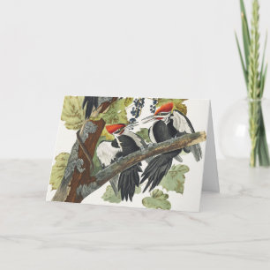 Vintage Audubon Helmspecht-Vogelkunst Feiertagskarte