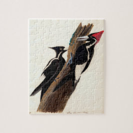 Vintage Audubon-Ivory-Schnabelspecht Puzzle