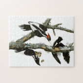 Vintage Audubon-Ivory-Schnabelspecht Puzzle (Horizontal)