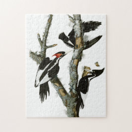 Vintage Audubon-Ivory-Schnabelspecht Puzzle