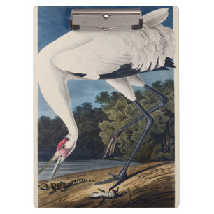 Vintage-Audubon-Jungfern-Kranich-Vogel-Natur-Kunst Klemmbrett