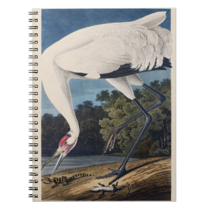 Vintage-Audubon-Jungfern-Kranich-Vogel-Natur-Kunst Notizblock