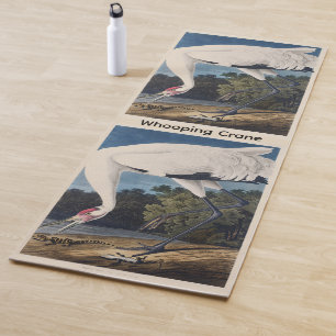 Vintage-Audubon-Jungfern-Kranich-Vogel-Natur-Kunst Yogamatte