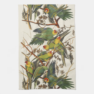 Vintage-Audubon-Karolina-Sittich-Vogelkunst Geschirrtuch