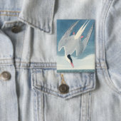Vintage Audubon Küstenmöwe - Küstenvogel-Kunst Button (Insitu)