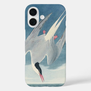 Vintage-Audubon-Küstenvogel-Kunst der Karktärnsees iPhone 16 Hülle