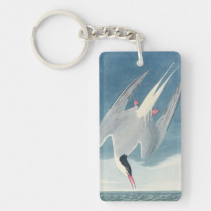 Vintage-Audubon-Küstenvogel-Kunst der Karktärnsees Schlüsselanhänger