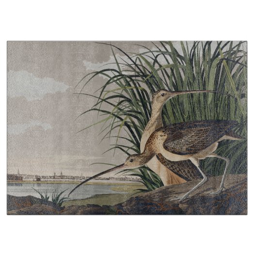 Vintage-Audubon-Langschnabel-Brachvogel-Kunst Schneidebrett (Vorderseite)