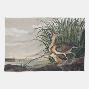 Vintage-Audubon-Langschnabel-Brachvogel-Vogel-Kuns Geschirrtuch