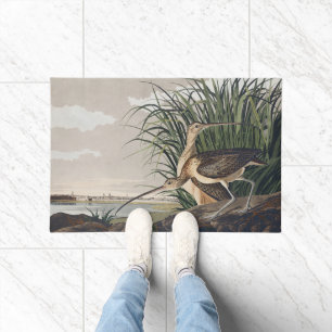 Vintage-Audubon-Langschnabel-Brachvogel-Vogelkunst Fußmatte
