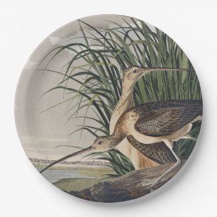 Vintage-Audubon-Langschnabel-Brachvogel-Vogelkunst Pappteller