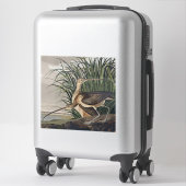 Vintage Audubon Long-billed Curlew Vogelkunst Aufkleber (Koffer)