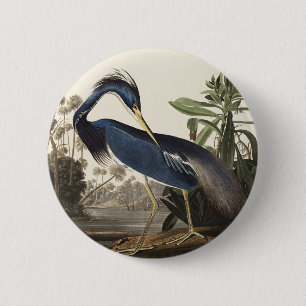 Vintage-Audubon-Louisiana-Reiher-Vogel-Kunst Button
