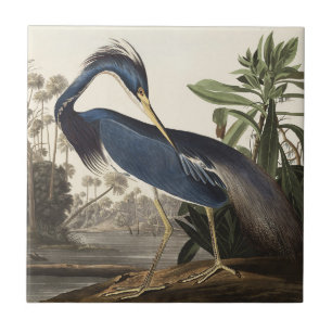 Vintage-Audubon-Louisiana-Reiher-Vogel-Kunst Fliese