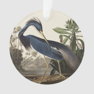 Vintage-Audubon-Louisiana-Reiher-Vogel-Kunst Ornament