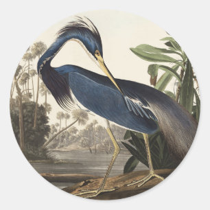 Vintage-Audubon-Louisiana-Reiher-Vogel-Kunst Runder Aufkleber