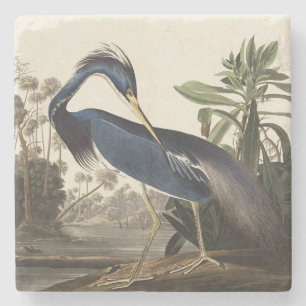 Vintage-Audubon-Louisiana-Reiher-Vogel-Kunst Steinuntersetzer